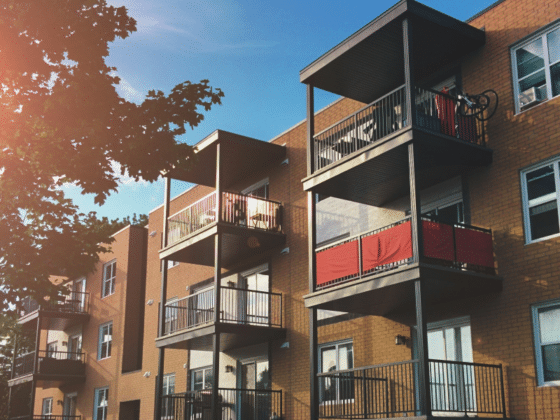 Mastering Apartment Hunting with Price and Filter Strategies