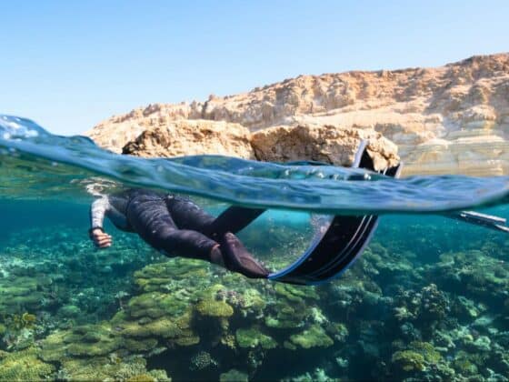 The Art of Underwater Photography: Andres Jacobus On Capturing the Ocean's Hidden Marvels