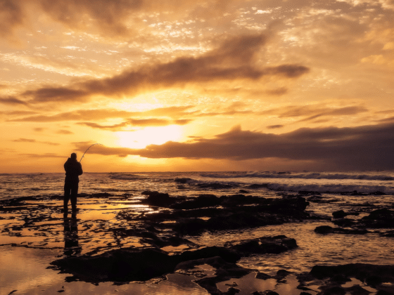 Beach Gear for a Perfect Beach Trip- Essential Items to Bring