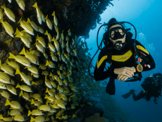 Brad Dozier Spotlights The Conservation Efforts Spearheaded by Scuba Diving Enthusiasts