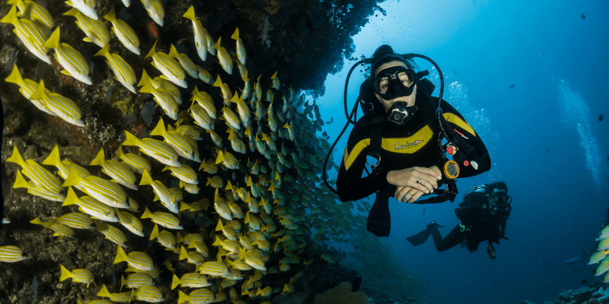 Brad Dozier Spotlights The Conservation Efforts Spearheaded by Scuba Diving Enthusiasts