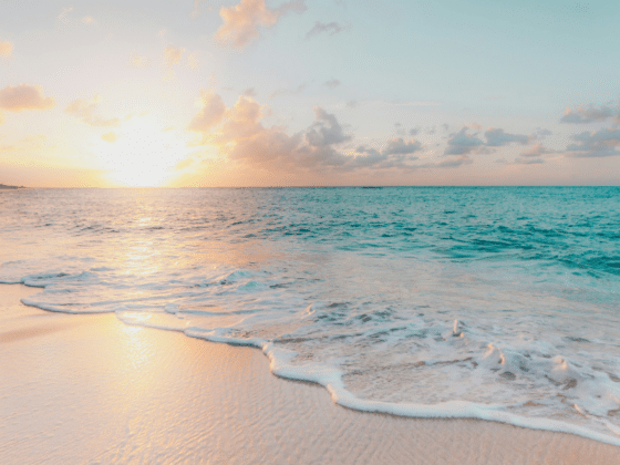 Catch the Summer Vibes with These Hot Hits from Across the Decades