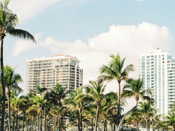Miami Influencers Boost Your Social Media Game