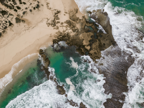 Day Trips from Melbourne, Australia: Explore Beyond the City