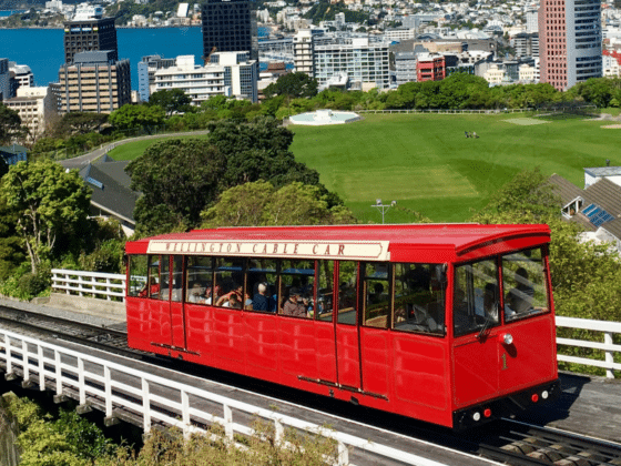 Exploring the Cultural Kaleidoscope of Wellington