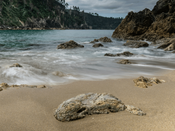 Road Trip Guide Exploring New Zealand's North Island