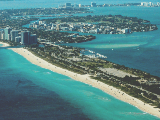Why Miami Is Booming With Successful Influencers