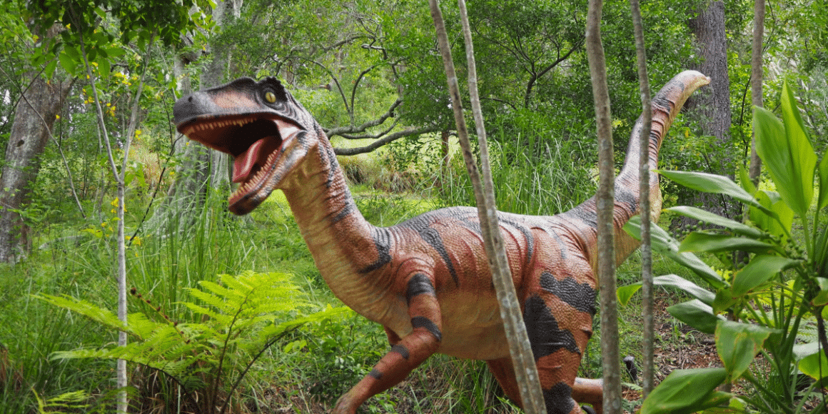 Explore the Jurassic Garden at Fairchild Garden Before It Ends