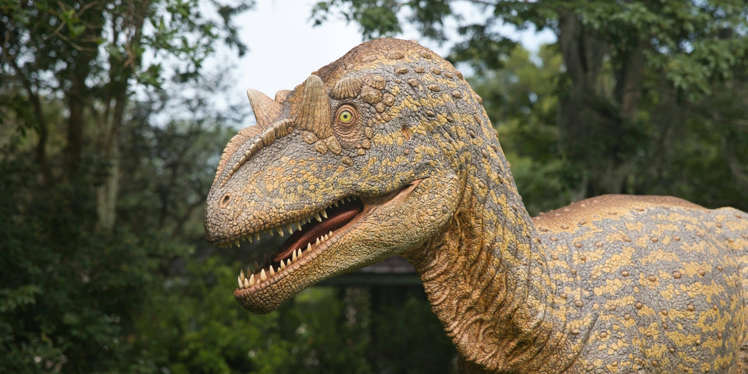 Jurassic Garden at Fairchild Garden: A Family Adventure Amidst Dinosaurs and Nature