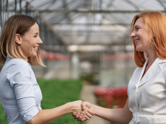 Stacked Partners Bridging the Gap Between Businesses and Creators