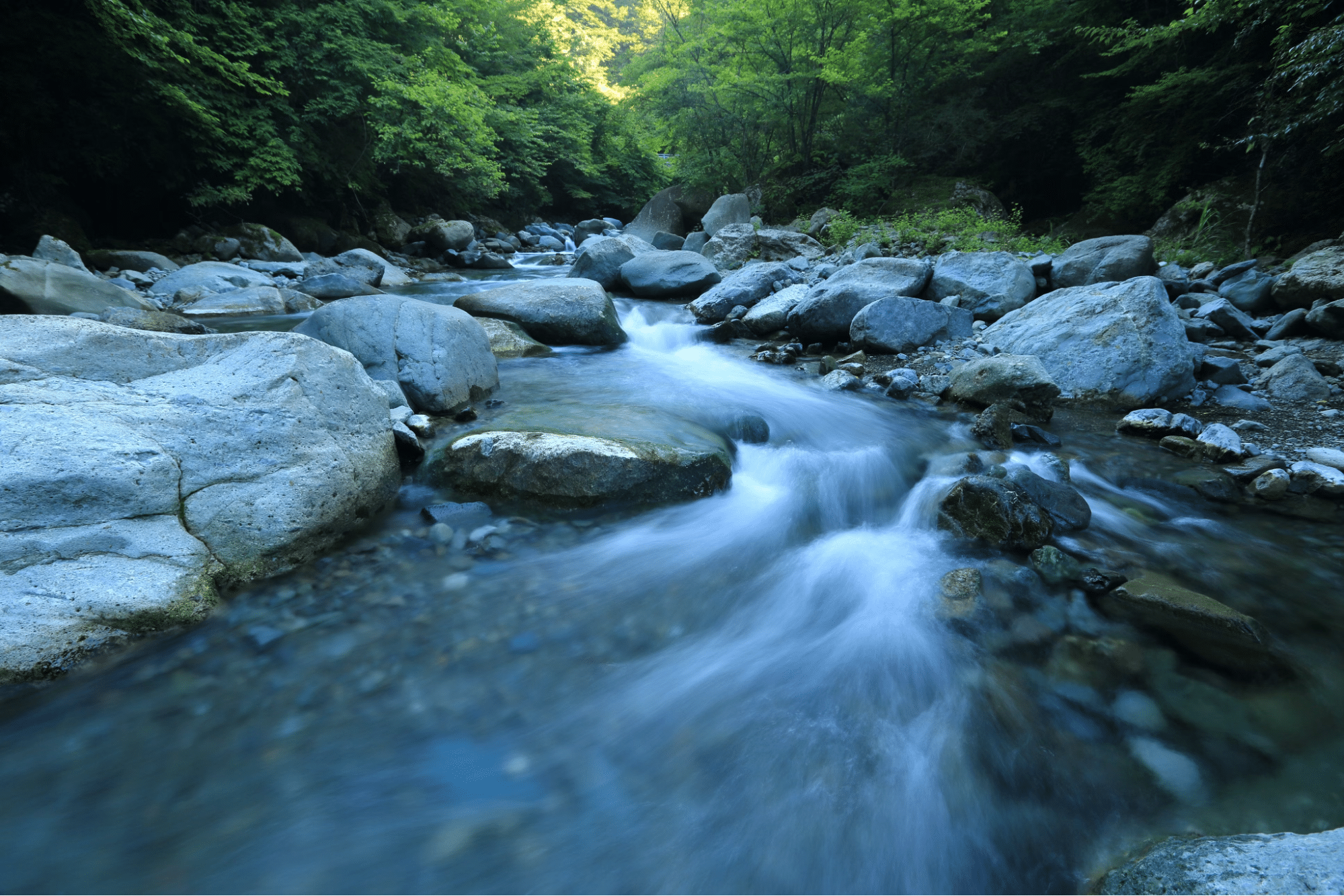 The Importance of Rivers in Building a Sustainable Future_2