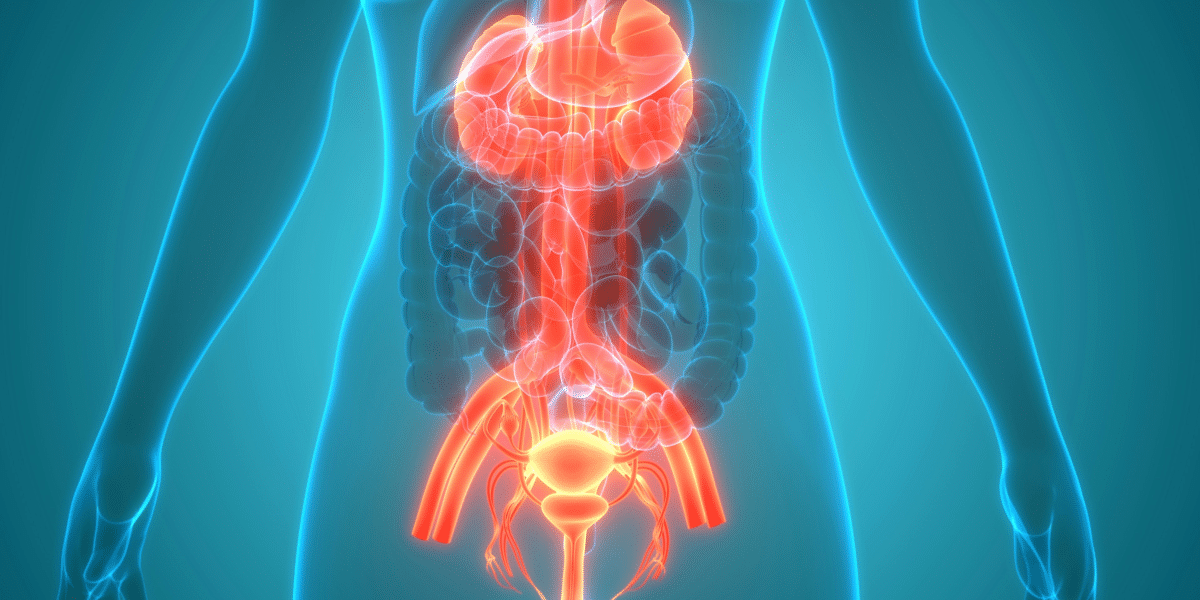 November is Bladder Health Awareness Month Here's What to Know