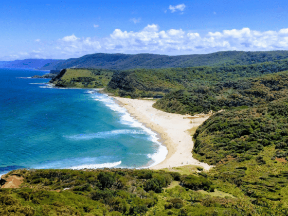 Sydney Day Trips: Scenic Nature Escapes