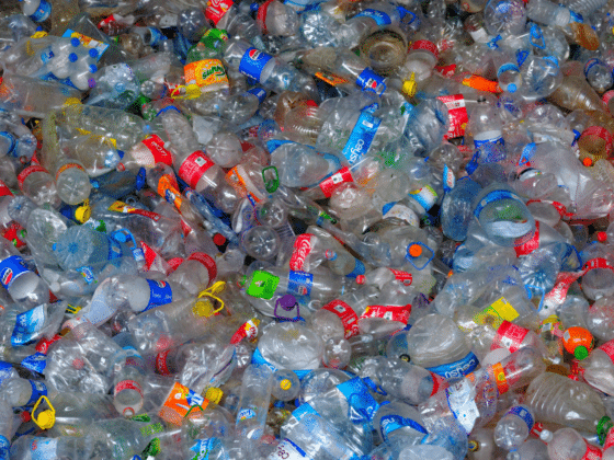 The Environmental Impact of Plastic Why It's Time to Rethink Usage