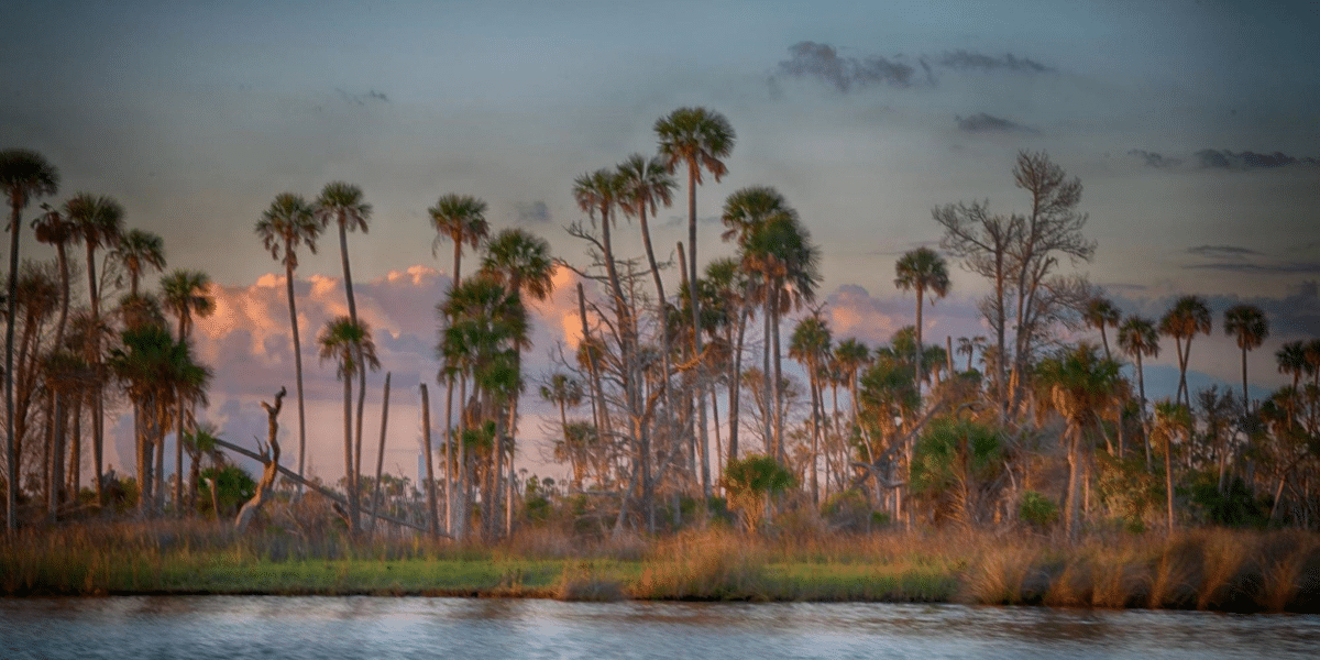 Doreen McGunagle: Capturing the Poetry of Nature through Fine Art Photography