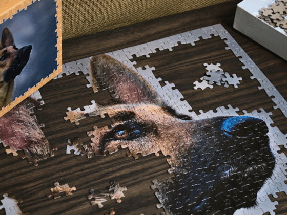 How to Start a Jigsaw Puzzle Hobby on a Budget