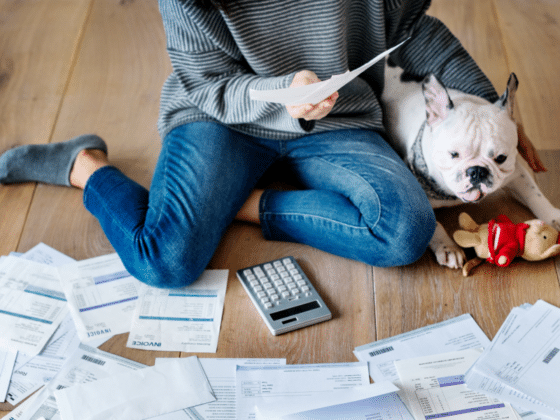 Pet Insurance NI: Protecting Your Furry Friend and Your Wallet