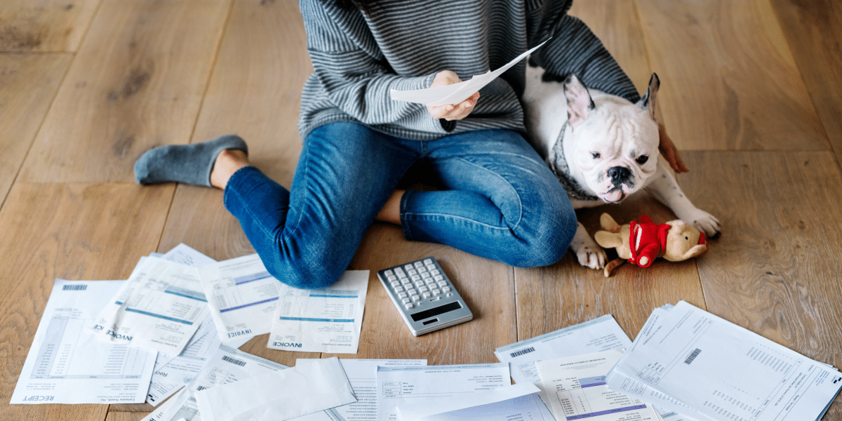 Pet Insurance NI: Protecting Your Furry Friend and Your Wallet