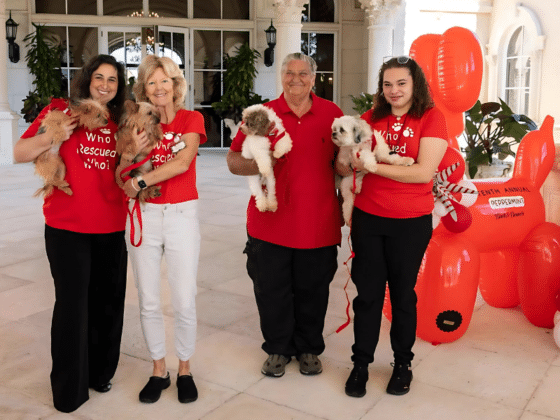 Paws, Brunch, and a Cause: Tri County Animal Rescue’s Peppermint Bark Event