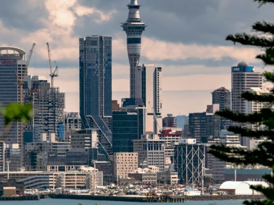 Discover the Top Attractions and Activities Awaiting You in Auckland, New Zealand