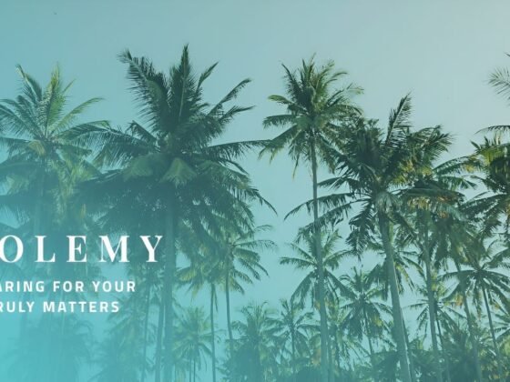 Florida's Palms at Risk: How Ptolemy Leads Proactive Care