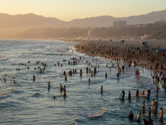 From Tides to Towers: The Surprising Ways Ocean Life Shapes City Culture