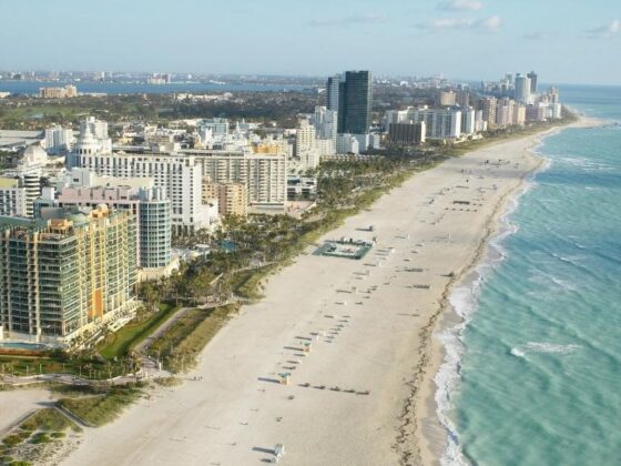 AI Uncorked: See How Miami's Tech Scene Is Fostering Collaboration