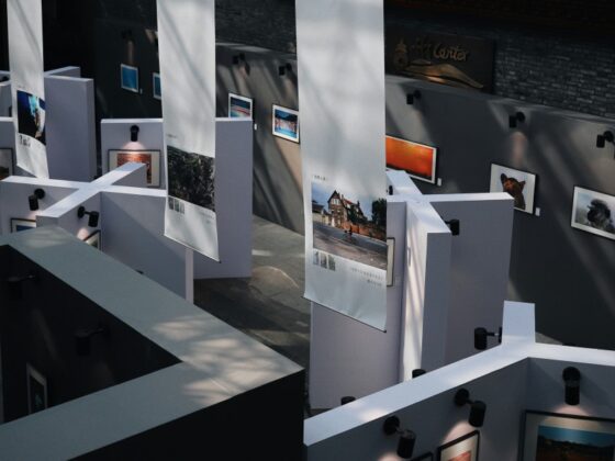 Inside Art Basel Miami Beach 2025 and the Citywide Art Surge (2)