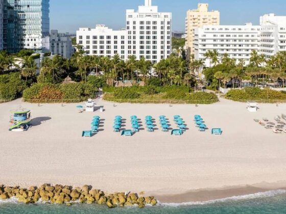 The Palms Hotel & Spa Miami Beach Redefining Oceanfront Luxury With Purpose