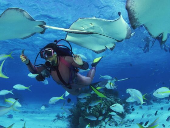 Miami-Dade County Releases 2026 Biscayne Bay Report Card as Record Heat Threatens Marine Ecosystems