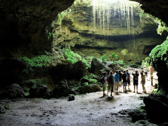 Miami Sits Between Two National Parks, a Distinction No Other Major U.S. City Can Claim