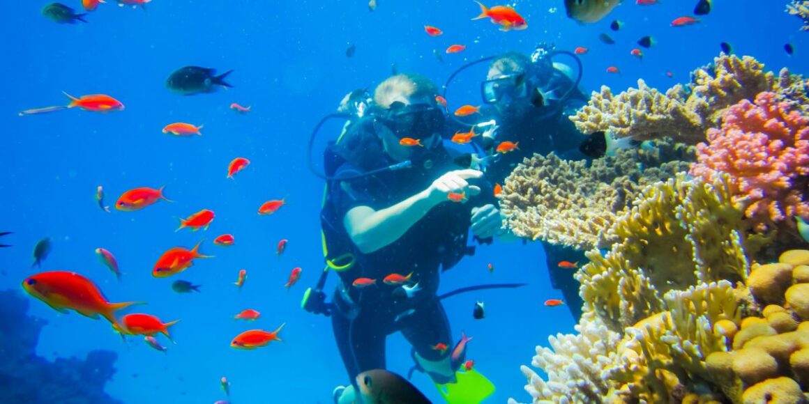 Florida Keys Coral Evacuation Begins as Saharan Dust Fuels Heat