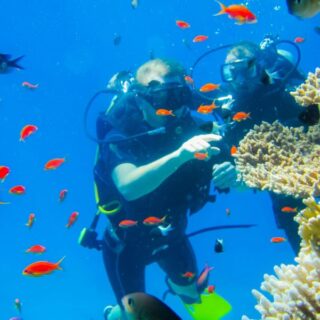 Florida Keys Coral Evacuation Begins as Saharan Dust Fuels Heat