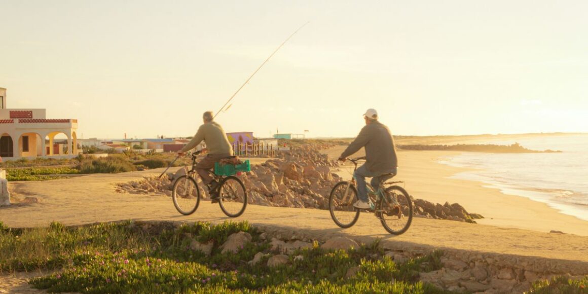How Top Bike Tours Portugal Structured Its Main Cycling Routes Around Portugal’s Changing Travel Patterns