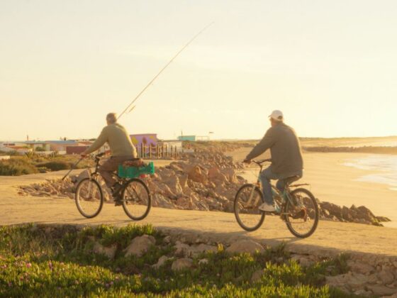 How Top Bike Tours Portugal Structured Its Main Cycling Routes Around Portugal’s Changing Travel Patterns