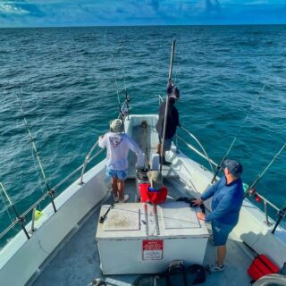 Do You Need a Fishing License in Florida? Who Is Exempt and Who Is Not
